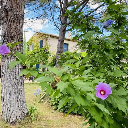 Casa de Férias Mas La Pauline De Charme & Roulotte